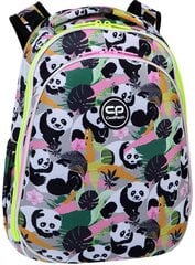 CoolPack reppu Turtle Panda Gang, 25 l hinta ja tiedot | Koulureput ja -laukut | hobbyhall.fi