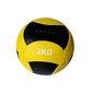 Nahkapainoinen harjoituspallo THOMS Wall Ball 2kg. hinta ja tiedot | Käsipainot, kahvakuulat ja voimaharjoittelu | hobbyhall.fi