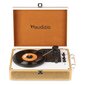 Audizio RP119 Record Player Gold hinta ja tiedot | Vinyylilevysoittimet ja gramofonit | hobbyhall.fi