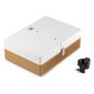 Audizio RP119 Record Player Gold hinta ja tiedot | Vinyylilevysoittimet ja gramofonit | hobbyhall.fi