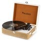 Audizio RP119 Record Player Gold hinta ja tiedot | Vinyylilevysoittimet ja gramofonit | hobbyhall.fi