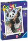 CreArt Lapsille Panda hinta ja tiedot | Maalaa numeroiden mukaan | hobbyhall.fi