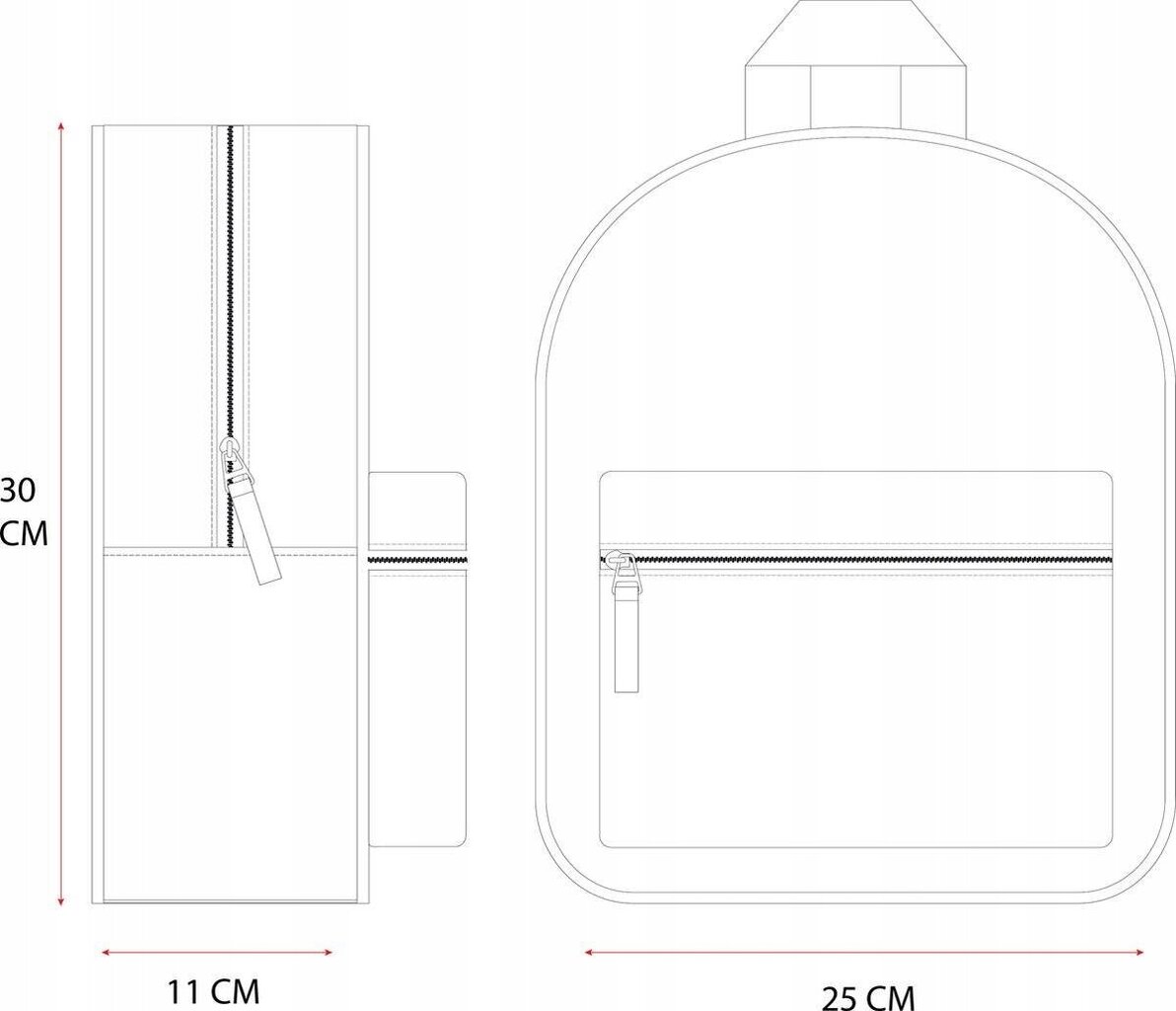 Esikoululaisen reppu 30x24x9cm hinta ja tiedot | Koulureput ja -laukut | hobbyhall.fi