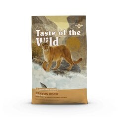 Taste of the Wild Feline Canyon River, taimenta ja savulohta, 2 kg hinta ja tiedot | Kissan kuivaruoka | hobbyhall.fi