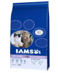 Iams ProActive Health Adult & Mature & Senior​ Lohta ja kanaa, 15 kg hinta ja tiedot | Kissan kuivaruoka | hobbyhall.fi