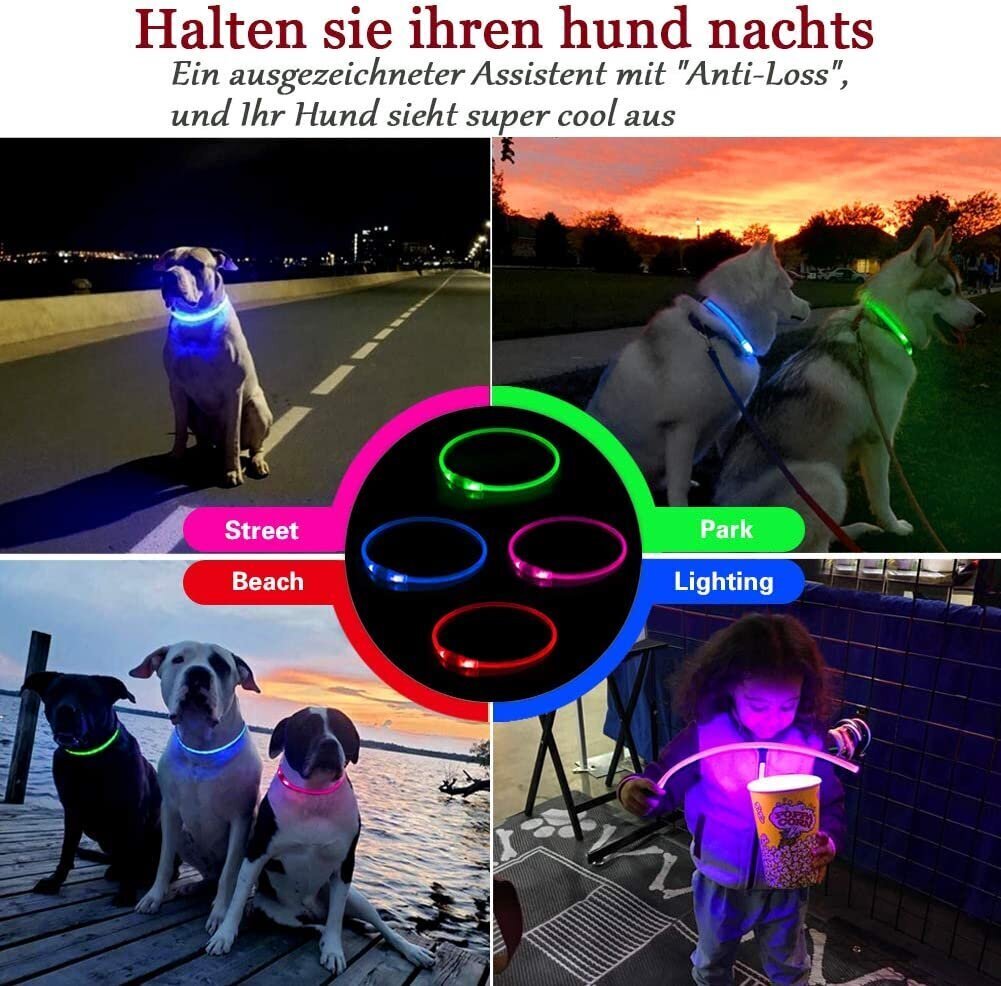 Kabb LED-panta koirille ja kissoille, punainen hinta ja tiedot | Koiran valjaat ja kaulapannat | hobbyhall.fi