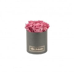 Kestoruusut Blummin – Midi dark grey / Vintage pink hinta ja tiedot | Kestoruusut | hobbyhall.fi