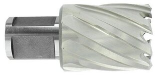 HSS-timanttipora Tivoly Ø28X60X30 mm, lyhyt sarja, Weldon-varsi Ø19 mm. Kirkas, päällystämätön hinta ja tiedot | Käsityökalut | hobbyhall.fi