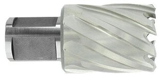 HSS-timanttipora Tivoly Ø32X60X30 mm, lyhyt sarja, Weldon-varsi Ø19 mm. Kirkas, päällystämätön hinta ja tiedot | Käsityökalut | hobbyhall.fi
