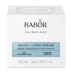 Kosteuttava lipidinen kasvovoide Babor Skinovage Moist+Lipid Cream, 50 ml hinta ja tiedot | Kasvovoiteet | hobbyhall.fi