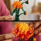 10368 LEGO® Botanical Collection Chrysanthemum, 278 osaa hinta ja tiedot | LEGOT ja rakennuslelut | hobbyhall.fi