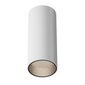 Maytoni Tekninen kattovalaisin FOCUS LED C056CL-L12W4K-W-D-W Valkoinen hinta ja tiedot | Kattovalaisimet | hobbyhall.fi