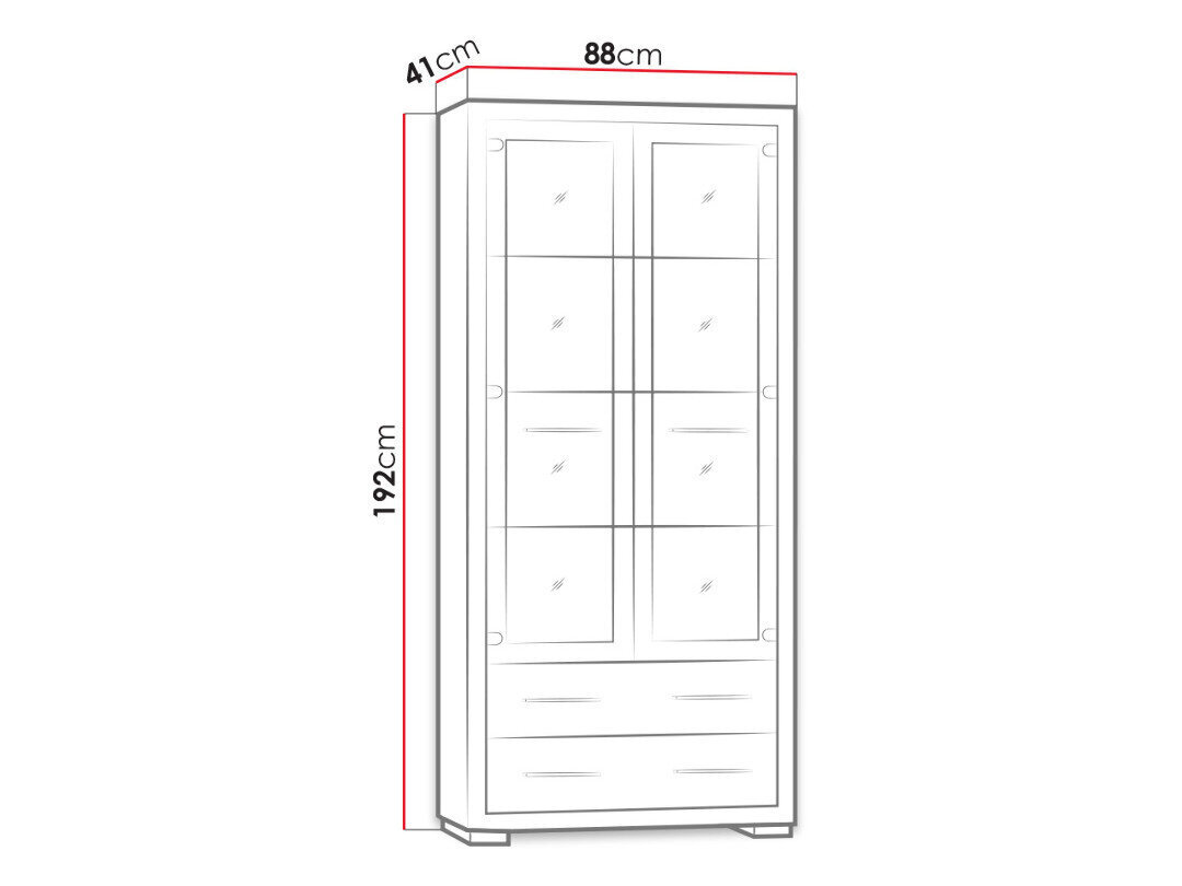 Vitriini Mirjan Vegas, 88x192x41 cm, ruskea hinta ja tiedot | Vitriinit | hobbyhall.fi