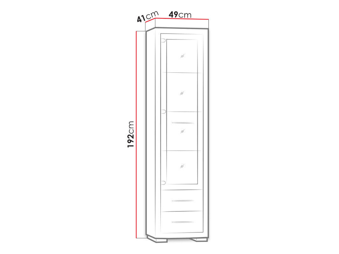 Vitriini Mirjan Vegas, 49x192x41 cm, ruskea hinta ja tiedot | Vitriinit | hobbyhall.fi