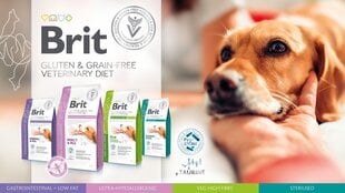 Brit Veterinary Care Steriloitu 2kg hinta ja tiedot | Koiran kuivaruoka | hobbyhall.fi