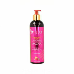 Shampoo Mielle Pomegranate & Honey Moisturizing & Detangling (355 ml) hinta ja tiedot | Shampoot | hobbyhall.fi