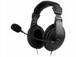 Langalliset on-ear kuulokkeet Motorola, 724810106001 hinta ja tiedot | Kuulokkeet | hobbyhall.fi