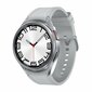 Galaxy Watch6 Classic Silver hinta ja tiedot | Älykellot | hobbyhall.fi