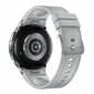 Samsung Galaxy Watch6 Classic SM-R950 hopea hinta ja tiedot | Älykellot | hobbyhall.fi