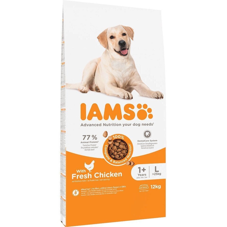 Iams for Vitality Adult suaugusiems didelių veislių šunims su vištiena, 12 kg hinta ja tiedot | Koiran kuivaruoka | hobbyhall.fi