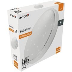 Avide LED-kattovalaisin Alice 18W 4000K IP44 hinta ja tiedot | Kattovalaisimet | hobbyhall.fi