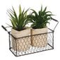 Koristeellinen aloe metallikorissa, 31 cm hinta ja tiedot | Keinotekoiset kukat | hobbyhall.fi