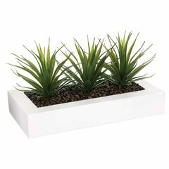 Tekokukat Aloe Vera hinta ja tiedot | Keinotekoiset kukat | hobbyhall.fi