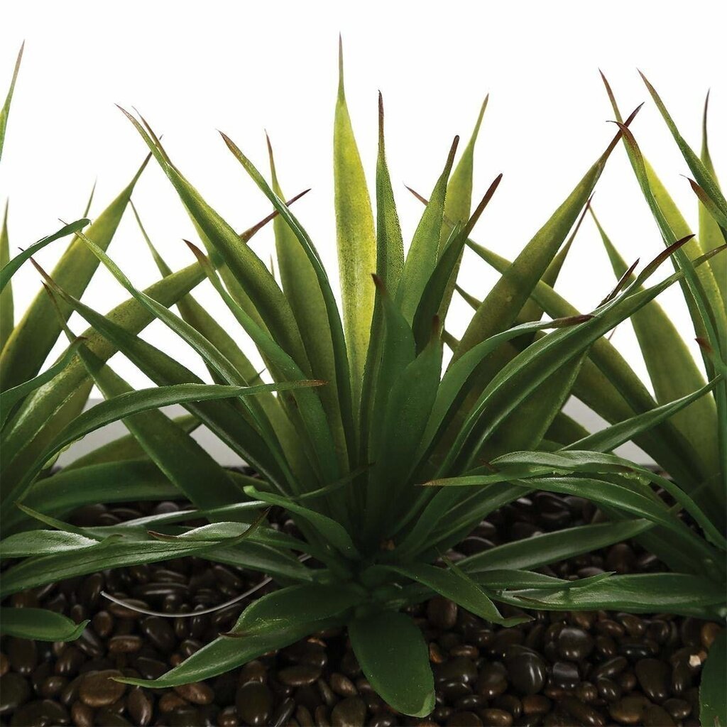 Tekokukat Aloe Vera hinta ja tiedot | Keinotekoiset kukat | hobbyhall.fi