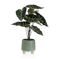 Keinotekoinen kasvi Alocasia hinta ja tiedot | Keinotekoiset kukat | hobbyhall.fi