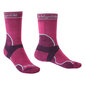 Urheilusukat Bridgedale TrailRun Merino Sport Crew Berry hinta ja tiedot | Naisten sukat | hobbyhall.fi