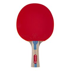 Pöytätennismaila Insportline Shootfair S6 hinta ja tiedot | Pingismailat | hobbyhall.fi