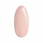 PALU Nail Builder Gel neutral, 12g, pieni hinta ja tiedot | Kynsilakat ja kynsienhoitotuotteet | hobbyhall.fi