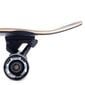 Longboard Tempish Pantar, 72cm hinta ja tiedot | Skeittilaudat | hobbyhall.fi