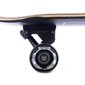 Longboard Tempish Pantar, 72cm hinta ja tiedot | Skeittilaudat | hobbyhall.fi