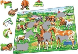 Iltapäivä Puzzles Kauniit Hevoset Eri Rotujen, Värien ja Kokoisten 33 Palaa hinta ja tiedot | Palapelit | hobbyhall.fi