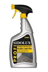 Sidolux homesieni- ja homeenpoistoaine, 750 ml hinta ja tiedot | Puhdistusaineet | hobbyhall.fi