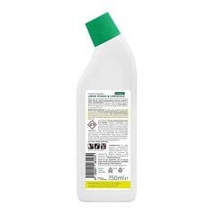 Eukalyptus WC:n puhdistus- ja kalkinpoistoaine, Planet Pure, 750ml hinta ja tiedot | Puhdistusaineet | hobbyhall.fi