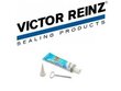 REINZOSIL yleissilikoni Victor Reinz 70ml hinta ja tiedot | Autokemikaalit | hobbyhall.fi