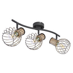 Globo Lighting lamppu Luise 54012-3DS hinta ja tiedot | Kattovalaisimet | hobbyhall.fi