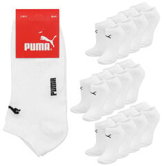 Naisten matalat sukat PUMA valkoinen 12-pack koko 36-41 hinta ja tiedot | Naisten sukat | hobbyhall.fi