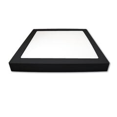 MasterLed Surface LED-paneeli Proma 24W 4000K hinta ja tiedot | MasterLed Lamput ja valaisimet | hobbyhall.fi