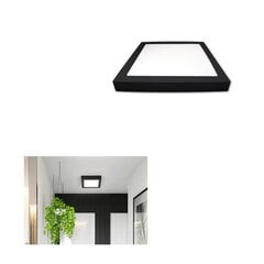 MasterLed Surface LED-paneeli Proma 24W 4000K hinta ja tiedot | MasterLed Lamput ja valaisimet | hobbyhall.fi