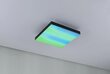 Paulmann LED-paneeli Velora Rainbow neliö 295x295mm RGBW musta hinta ja tiedot | Upotettavat valaisimet ja LED-valaisimet | hobbyhall.fi