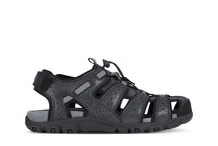 Miesten Geox sandaalit MO SANDAL STRADA hinta ja tiedot | Miesten sandaalit ja tossut | hobbyhall.fi