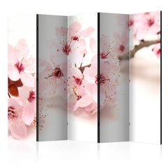 Sermi - Cherry Blossom II [Room Dividers] hinta ja tiedot | Sermit ja tilanjakajat | hobbyhall.fi