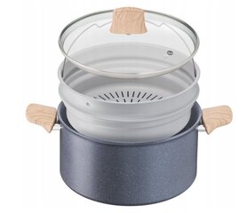 Tefal potti Natural Force Detox G2669053, 5L hinta ja tiedot | Kattilat ja painekattilat | hobbyhall.fi