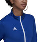 Adidas Entrada 22 HG6293 naisten vetoketjullinen villapaita, sininen hinta ja tiedot | Naisten urheiluvaatteet | hobbyhall.fi