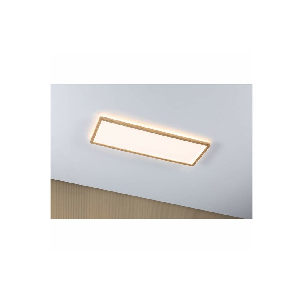 LED kattovalaisin Atria Shine Backlight hinta ja tiedot | Kattovalaisimet | hobbyhall.fi