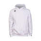 Unisex urheilutakki Arena Team Hooded Sweat Panel, valkoinen hinta ja tiedot | Miesten urheiluvaatteet | hobbyhall.fi