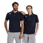 Urheilupaita unisex Arena Team Poloshirt Solid, sininen hinta ja tiedot | Miesten urheiluvaatteet | hobbyhall.fi